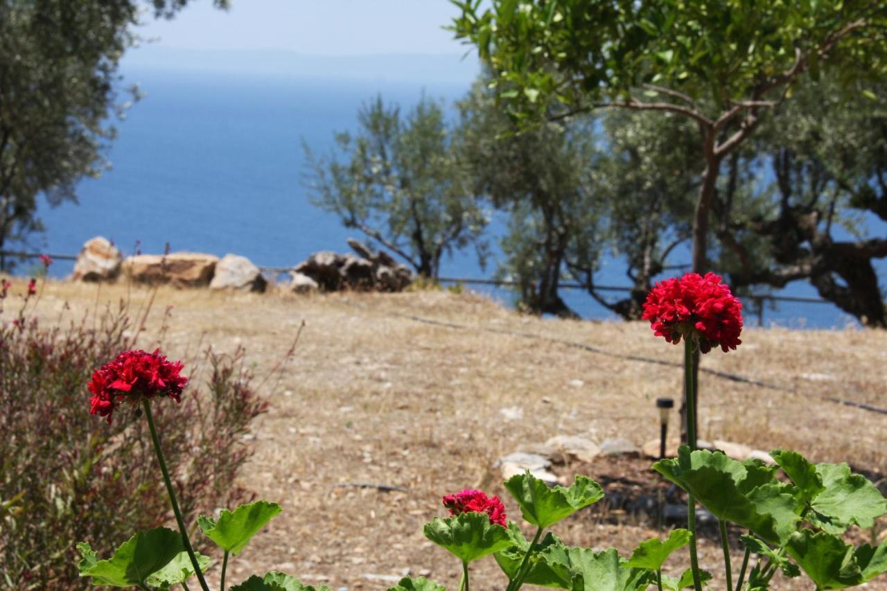 Sea And Mountain View Villa Kalamata Exterior photo